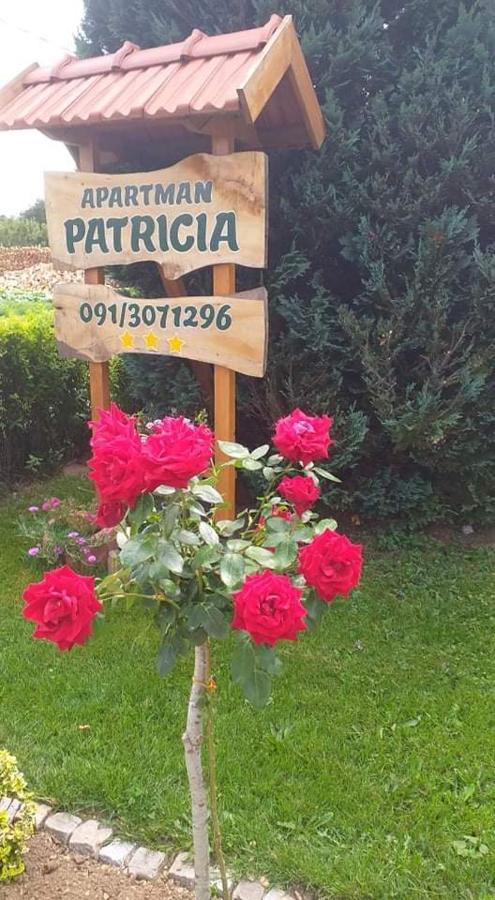 FužineApartman Patriciaアパートメント エクステリア 写真